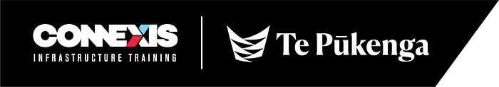 Auckland All Industry Assessor Forum logo